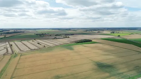 A drone view of the Lincolnshire Fens, with a patchwork of flat fields stretching towards the horizon beneath a cloudy blue sky