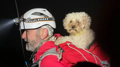 Dog on the back of a mountain rescuer