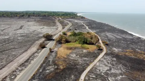 An aerial image shows the damage to Dunwich Heath. A huge area is scorched black, grey and white. A single patch of green grass and trees stands in the middle of the wasteland, next to a road. "Firebreaks" have been scraped into the heath on either side of the clump of trees.