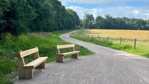 National Trust Two simple wooden benches sit beside a gently curving paved path that winds through a countryside landscape. Dense green woodland lines the left side of the path, while a fenced golden field stretches along the right. Above, a wide blue sky is filled with large white and grey clouds.