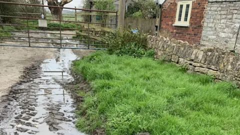 Contributed On the right of the photo is a patch of grass, then running alongside is discoloured water which has flowed from the drain.