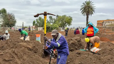 EPA/Shutterstock A man in a purple top and trousers holds a yellow pickaxe aloft in an area used recently as a cattle enclosure in South Africa. Other people can be seen digging behind him.