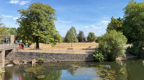 View of a park by a weir with brown grass and green trees.