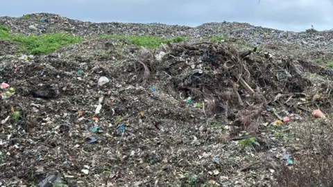 This close up picture of the waste shows the amount of detritus in the layers of waste below. It looks like a hill of rubbish with various bits of vegetation poking out and the sky visible at the top of the frame.