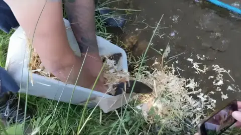 Habitat Project Vole being released