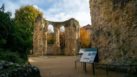 A general view picture of part of the Abbey Ruins, Reading.