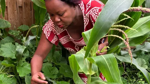 Grace kneeling in her vegetable garden next to large green leaves looking down at the vegetables.