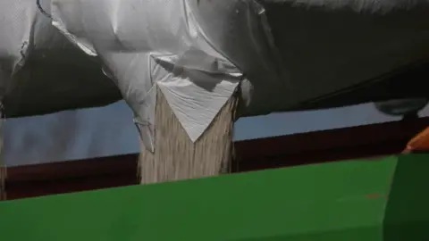Fertiliser being poured in a green container from a sack.