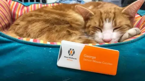 Simone Carter A red and white cat sleeps in a blue bed. In the foreground is a West Midlands Railway badge reading 'George, Senior Mouse Catcher'.