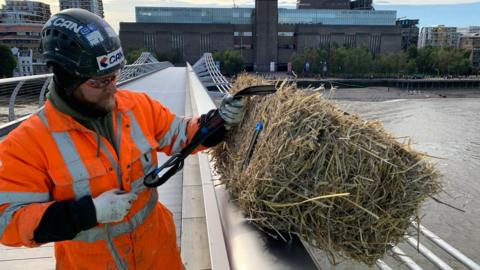 A worker lowers the straw bale down from the bridge