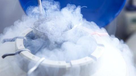 Embryo freezing process