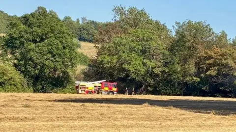 ECFRS Fire engine and fire officers in a dry field edged with green trees.
