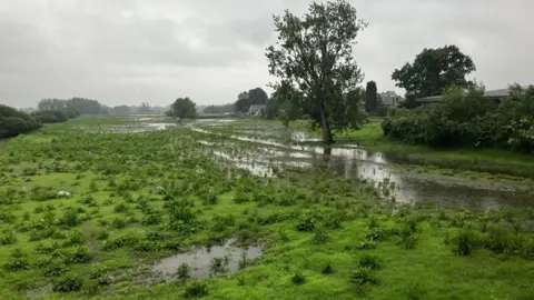 Flooded fields