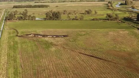 Jeff Kew An aerial shot of arable fields with greening crops, bounded by ditches and a few trees, Lakenheath Fen