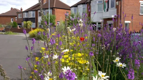 Purple flowers along with yellow and white daisies