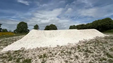 A long, high mound of chalk in a meadow. Trees are visible in the background. The chalk is bare of plants and the arms of an e-shape are just visible.