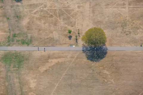 jasonhawkes.com Aerial shot of brown scorched grass with two people on path walking away from tree