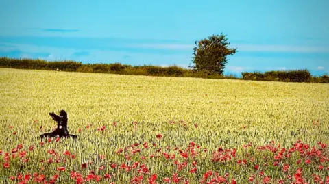 Heather Boyle A black dog playfully running through a field of wheat interspersed with vibrant red poppies. The background features a clear blue sky and a distant hedgerow with a lone tree.