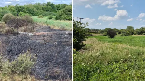 A side-by-side photo of a meadow looking black and ashen, then beautiful and green on a sunny day