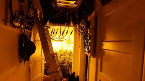 Nottinghamshire Police Cannabis plants being grown indoors