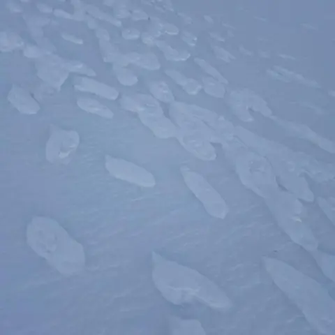 SAIS Lochaber The frozen footprints are slightly above the rest of the snowy ground. They look like white blobs.