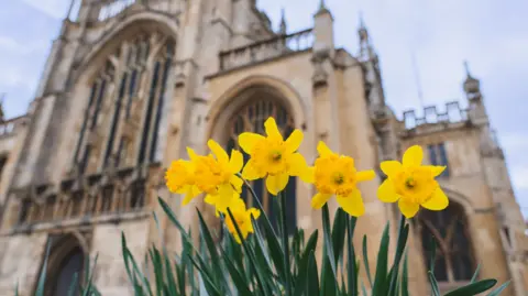 Gloucester Cathedral A sharp close up of a bunch of daffodils with a blurred Gloucester Cathedral in the background