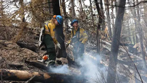 Jasper National Park Firefighters are seen extinguishing a fire among charred trees in Jasper National Park