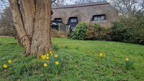 Minstead Trust Black building with thatched roof and greenery including daffodils in the grass.