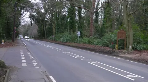 Martin Giles/BBC Another view of Avenue Road in High Kelling. Vehicles can be seen driving in both directions further up the road with various signs next to the road. Trees line either side of the road. 