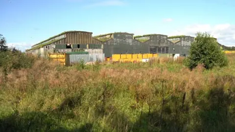 An overgrown field on Rockcliffe Industrial Estate, where they proposed the gas plant would go. Four grey metal industrial buildings line the field.