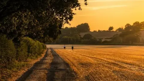 BBC Weather Watchers/Hippopotomum Two figures are seen in the distance on a harvested field, with a path running alongside them at the edge of the field and, next to that, several trees. The air and sky are turned a hazy orange and yellow as the sun sets.