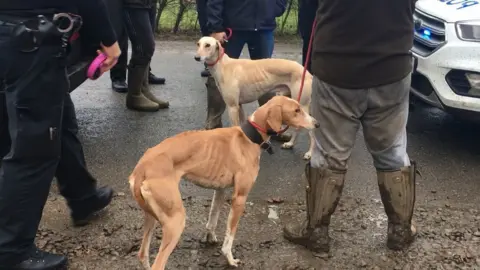 Suspected hare coursers