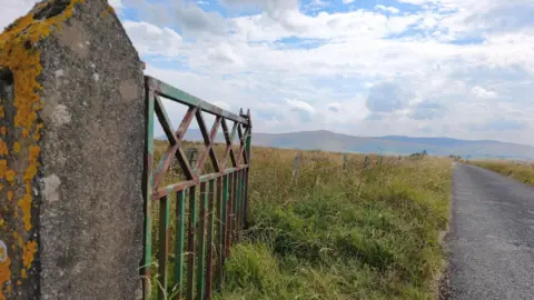 Bletheration A rusted green and brown gate opening onto a country road with fields on either side. It is being held up by a stone pillar which is covered in yellow moss. The grass on the left side of the concrete road is overgrown and there is a wooden and wire fence beyond it, with more overgrown yellowish grass on the other side. There are ells in the distance and the sky above is bright blue but mostly covered in white fluffy clouds.