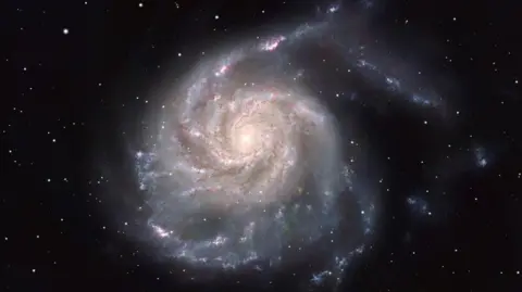 Lee Pullen/UrbanAstrophotography.com The Pinwheel galaxy is a spiral shaped collection of gasses set in a dark night sky. The galaxy is mostly white with stars in the background. 