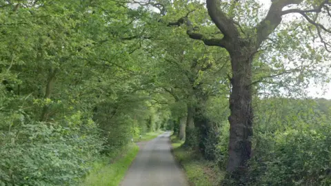 Google A view of Gray's Lane. It is a single track road with trees and bushes that line either side. A field can be seen to the right hand side of the road.