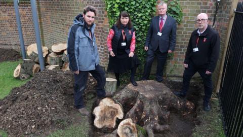 Four adults standing around a stumped tree after it was damaged