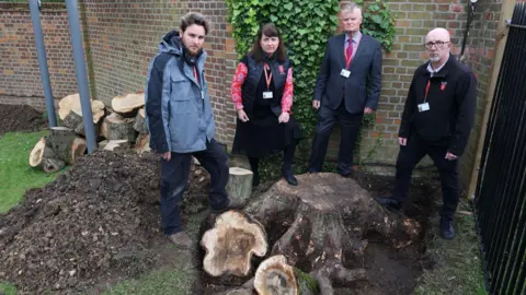 New Hall School Four adults standing around a stumped tree after it was damaged