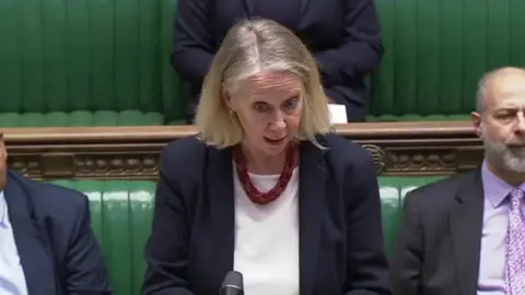 Liz McInnes, wearing a blue jacket, white top and red necklace, speaks in the House of Commons