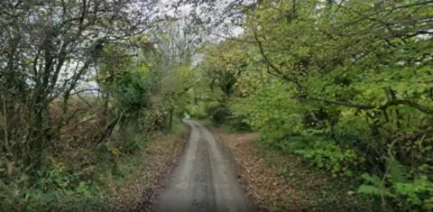 LDRS A narrow road with greenery on either side.