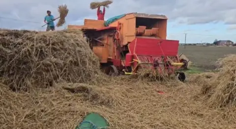 Robin Kurzaj One person is standing on a huge pile of straw with a pitchfork, passing to another person who is tossing the straw into a huge yellow and red threshing machine.