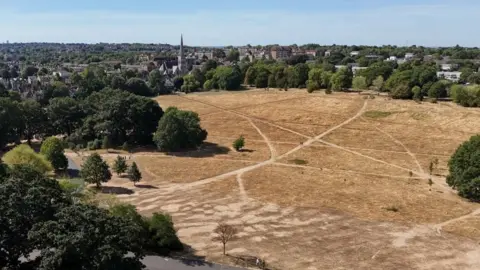 Reuters An aerial view of Brockwell Park in London which is brown and dry. It is surrounded by green trees and buildings in the distance. 