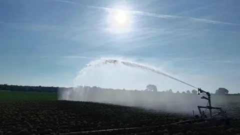 Wiff A long arc of water jets out of an agricultural sprinkler over crops in a field. Blue skies and a beating sun can be seen above.