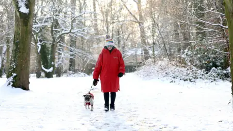 Pacemaker A woman in a red coat, white hat and sunglasses is walking a dog through a winter landscape. There is snow on the ground and trees which have no leaves.