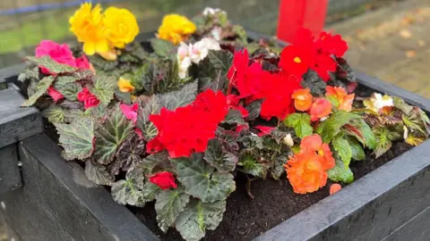 Close up of a square black planter full of flowers in red, yellow, pink and orange