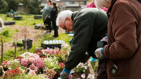 Cherwell Collective An elderly man bends down and tends a colourful array of flowers in the sunshine. He wears a black fleece and and has white hair and gardening gloves.