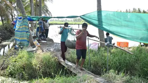 Two men in Andhra Pradesh state carry freshly caught shrimp in a net basket with coconut trees and a river in the background.
