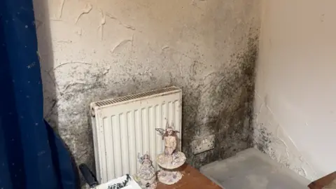 Dark mould is thick across the bottom half of a white internal wall with a double plug socket to the right of a small radiator. There is a dark blue curtain to the left and two ornamental fairy figurines on a table in front of the radiator.