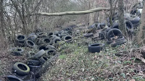 Kate Bradbrook/BBC A significant amount of lorry tyres strewn across a wooded area.