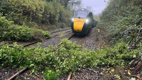 GWR A train has been stopped due to several branches which have fallen across the line.