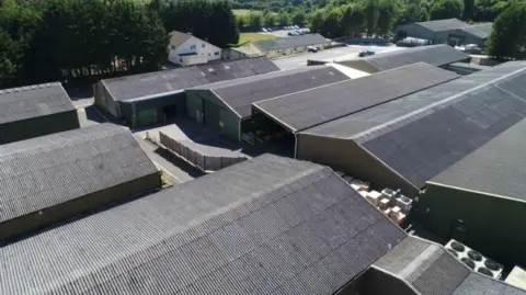 An aerial view of the existing Yeo Valley Farms site in Cheddar. There are around nine buildings topped with dark corrugated metal panelling. The site is surrounded by mature trees and fields.